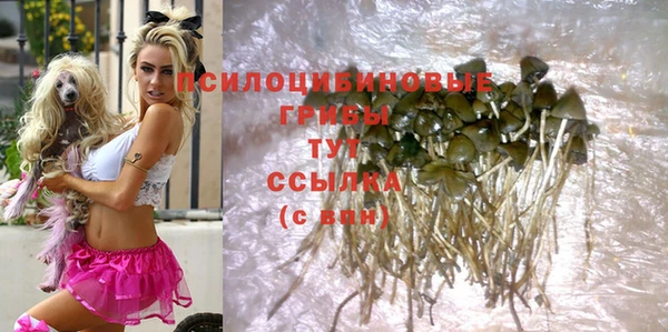 молекула духа Белокуриха