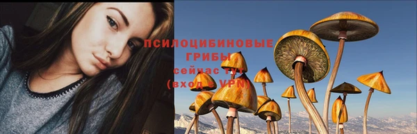 молекула духа Белокуриха