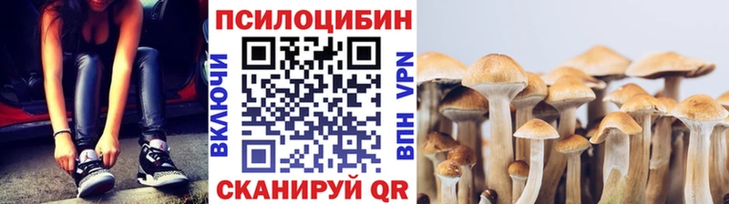 закладки  Волгореченск  Галлюциногенные грибы прущие грибы 